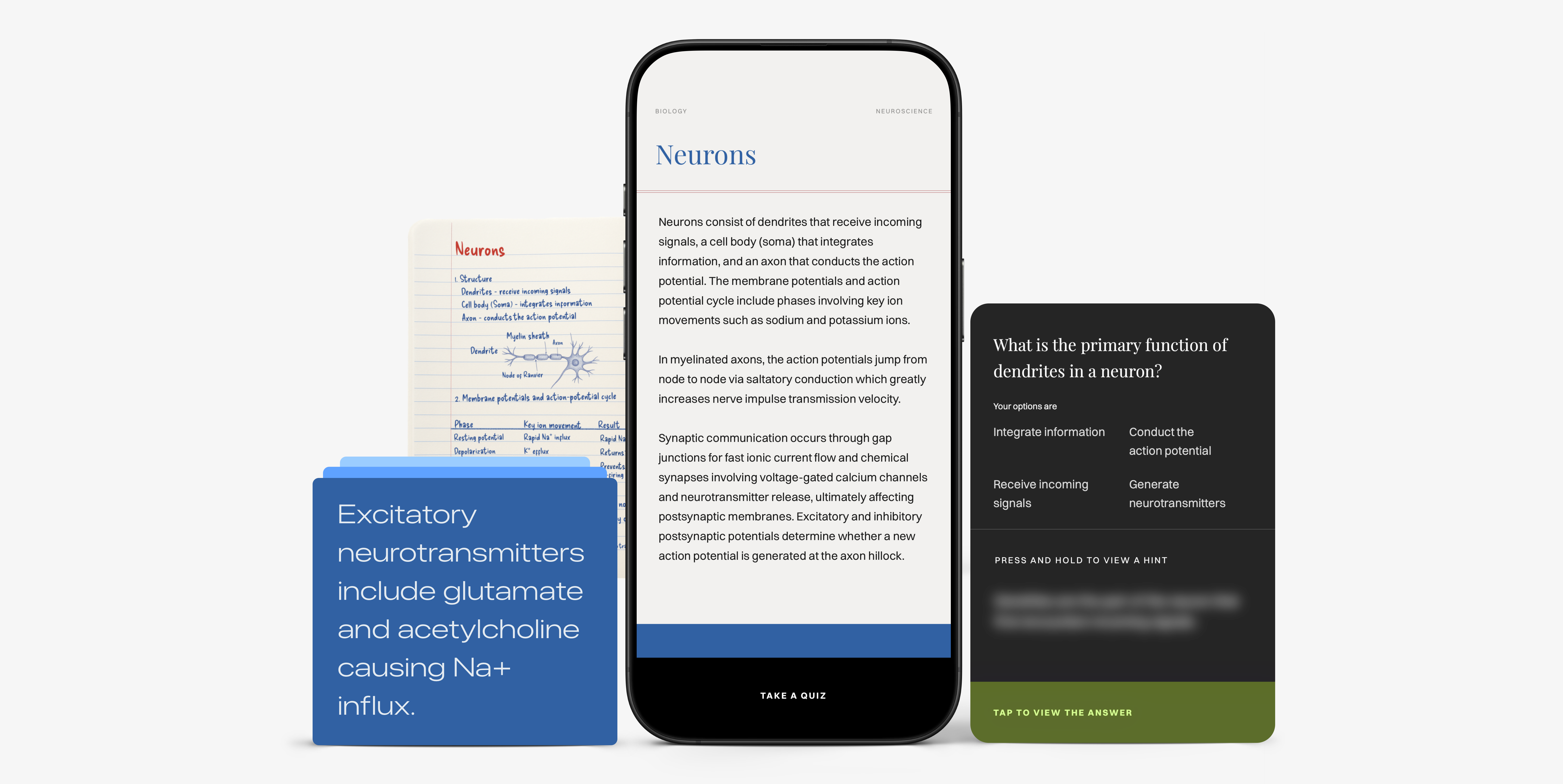 Gyansie turns your notes into summaries and quizzes.