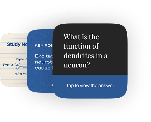 Gyansie turns your notes into summaries and quizzes.